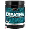 ENERVIT SpA GYMLINE CREATINA 400 G NEW