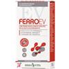 ERBA VITA GROUP SPA FERRO EV RETARD 30 COMPRESSE GASTRORESISTENTI
