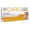 SHEDIR PHARMA SRL UNIPERSONALE CARFOGIL 30 COMPRESSE