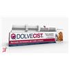 SHEDIR PHARMA SRL UNIPERSONALE DOLVECIST PASTA SIRINGA 30 G