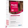 GIULIANI SpA BIOSCALIN NUTRICOLOR PLUS 7 BIONDO CREMA COLORANTE 40 ML + RIVELATORE CREMA 60 ML + SHAMPOO 12 ML + TRATTAMENTO FINALE BALSAMO 12 ML