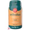 ERBA VITA GROUP SpA TRIBULUS 60 CAPSULE