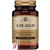 SOLGAR IT. MULTINUTRIENT SpA GAR AGLIO 100 PERLE