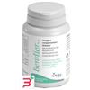 AURORA BIOFARMA SRL BENDIAR MAXI 20 COMPRESSE