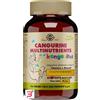 SOLGAR IT. MULTINUTRIENT SPA CANGURINI MULTINUTRIENTS FRUTTI TROPICALI 60 TAVOLETTE