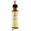 SCHWABE PHARMA ITALIA Srl WHITE CHEST BACH ORIG 20 ML
