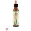 SCHWABE PHARMA ITALIA SRL AGRIMONY BACH ORIG 20 ML