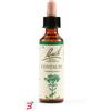SCHWABE PHARMA ITALIA SRL CENTAURY BACH ORIG 20 ML