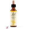 SCHWABE PHARMA ITALIA SRL CERATO BACH ORIG 20 ML