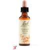 SCHWABE PHARMA ITALIA SRL CHERRY PLUM BACH ORIG 20 ML