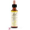 SCHWABE PHARMA ITALIA SRL CHESTNUT BUD BACH ORIG 20 ML