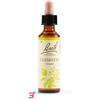 SCHWABE PHARMA ITALIA SRL CLEMATIS BACH ORIG 20 ML