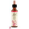 SCHWABE PHARMA ITALIA SRL ELM BACH ORIG 20 ML