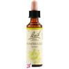 SCHWABE PHARMA ITALIA SRL HONEYSUCKLE BACH ORIG 20 ML