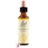 SCHWABE PHARMA ITALIA SRL HORNBEAM BACH ORIG 20 ML