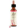SCHWABE PHARMA ITALIA SRL LARCH BACH ORIG 20 ML