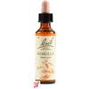 SCHWABE PHARMA ITALIA SRL MIMULUS BACH ORIG 20 ML
