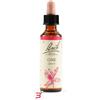 SCHWABE PHARMA ITALIA SRL OAK BACH ORIG 20 ML