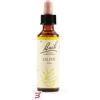 SCHWABE PHARMA ITALIA SRL OLIVE BACH ORIG 20 ML
