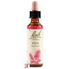 SCHWABE PHARMA ITALIA SRL PINE BACH ORIG 20 ML