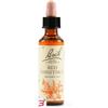 SCHWABE PHARMA ITALIA Srl RED CHESTNUT BACH ORIG 20 ML