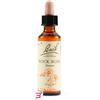 SCHWABE PHARMA ITALIA Srl ROCK ROSE BACH ORIG 20 ML