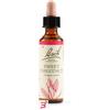 SCHWABE PHARMA ITALIA Srl SWEET CHEST BACH ORIG 20 ML