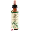 SCHWABE PHARMA ITALIA Srl WALNUT BACH ORIG 20 ML