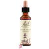 SCHWABE PHARMA ITALIA SRL WATER VIOL BACH ORIG 20 ML