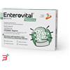 PHARMA LINE SRL ENTEROVITAL RESTORE 10 BUSTINE