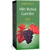 Erbamea Vite rossa gambe gel 125ml