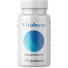 PHARMACE' Srls VITABASE 300 gr integratore metabolismo acidosi