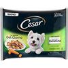 Cesar Le Delizie del Giorno Selezione in Gelatina 4 x 100 g, Cibo per Cane, Confezione da 13 Pezzi, 52 buste in totale