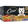 CESAR Pasto per cani - 24 vassoi (set di 3 confezioni 8 x 150 g) - Pasta per cani in salsa - manzo/pollo/agnello/tacchino - Cibo completo ed equilibrato con ingredienti naturali