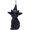 Nemesis Now Cult Cuties Purrah - Ornamento da appendere a forma di gatto, 11,5 cm, in resina, colore: nero, spaventosamente adorabile e ammaliante, gatto strega, fuso in resina di alta qualità,