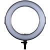 PATONA Premium LED Ringlight Photo Video Light RL-320A