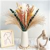 XMLDSBBD Fiori Secchi Decorativi,Erba Della Pampas Decorative 75 Pezzi Set di Erba di Pampa Naturale Fiori Secchi Decorativi per Matrimoni, Feste, Boho Decor