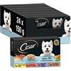 Cesar Multipack Tariffe di alimenti bagnati per cani anziani, selezione di carni miscelate, 150 g (confezione da 24)