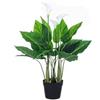 Bizzotto Pianta Calla da arredo con vaso 68h cm di Bizzotto