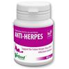 VETFOOD Anti-Herpes 60 g