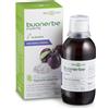 Bios Line Buonerbe Forte Sciroppo