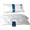 LILENO HOME Set copripiumino 135 x 200 cm, con cuscino, per tutto l'anno, 135 x 200 cm, con cuscino 40 x 80 cm, con rivestimento antibatterico e resistente alla cottura fino a 95 °C