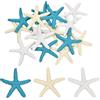 xianynow 15 pezzi stella marina decorazione stelle marine in resina mini stella marina decorazione decorazione per la casa, decorazione per appendere ornamenti e lavori manuali - 5,8 cm