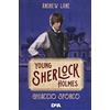 DeAgostini Ghiaccio sporco. Young Sherlock Holmes