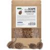 ARKA mySCAPE-Casuarina Cones - Cônes de casoarine - 1-3 cm - Lot de 50 - Conditionneur Naturel et décoration pour Eau Tropicale dans Un Aquarium d'eau Douce - Cachette pour crevettes