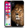 Head Case Designs Leone Animali Selvatici Custodia Cover Dura per Parte Posteriore Compatibile con Apple iPhone X/iPhone XS