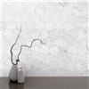 Leroy Merlin Mosaico in gres porcellanato Hellir bianco opaco L 7 x L 30.5cm x Sp. 9 mm, 7 pezzi
