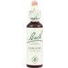 Bach Original Chicory Rimedio omeopatico in gocce 20 ml