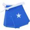 AZ FLAG Ghirlanda 6 Metri 20 Bandiere Somalia 21x15cm, Bandiera Somala 15 x 21 cm - Festone Bandierine
