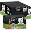 César Cesar Cibo umido per cani, ricette del frutteto in patè e gelatina, Multipack 3 x 8 x 150 g
